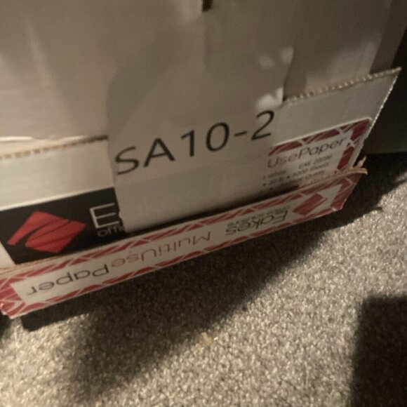 Aurora World Plush - Mini Flopsie - JACKIE RUSSELL (8 inch) - Stuffed Animal Toy - Picture 10 of 10